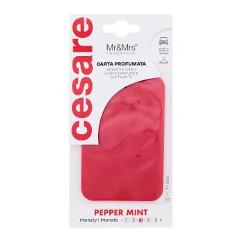 Mr&Mrs Fragrance Cesare Scented Card Pepper Mint