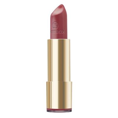 Dermacol Pretty Matte Šminka za ženske 4,5 g Odtenek 17
