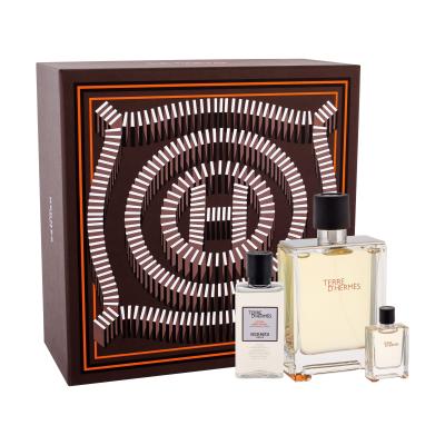 Hermes Terre d´Hermès Darilni set toaletna voda 100 ml + toaletna voda 5 ml + vodica po britju 40 ml