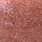 Sally Hansen Miracle Gel Gel lak za nohte za ženske 14,7 ml