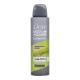 Dove Men + Care Minerals + Sage 48h Antiperspirant za moške 150 ml