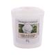 Yankee Candle Camellia Blossom Dišeča svečka  49 g