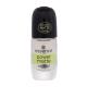 Essence Power Matte Top Coat Nadlak za mat zaključek za ženske 8 ml