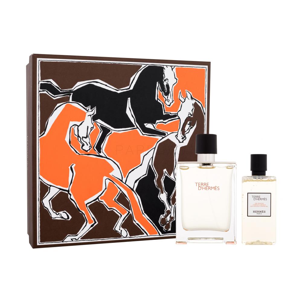 Hermes Terre d´Hermès SET2 Darilni set toaletna voda 100 ml + gel za prhanje 80 ml