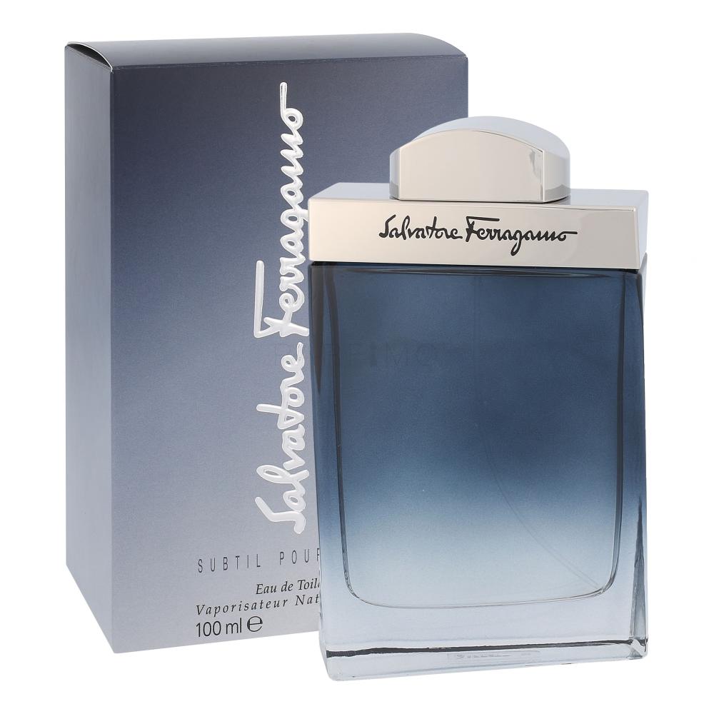 Ferragamo Subtil Pour Homme Toaletna voda za moške 100 ml