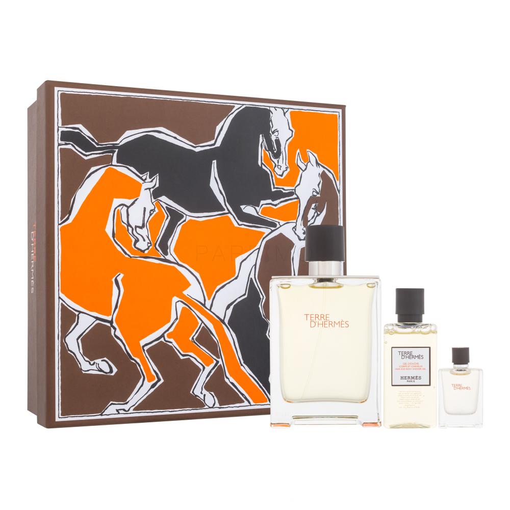 Hermes Terre d´Hermès Darilni set toaletna voda 100 ml + toaletna voda 5 ml + gel za prhanje 40 ml
