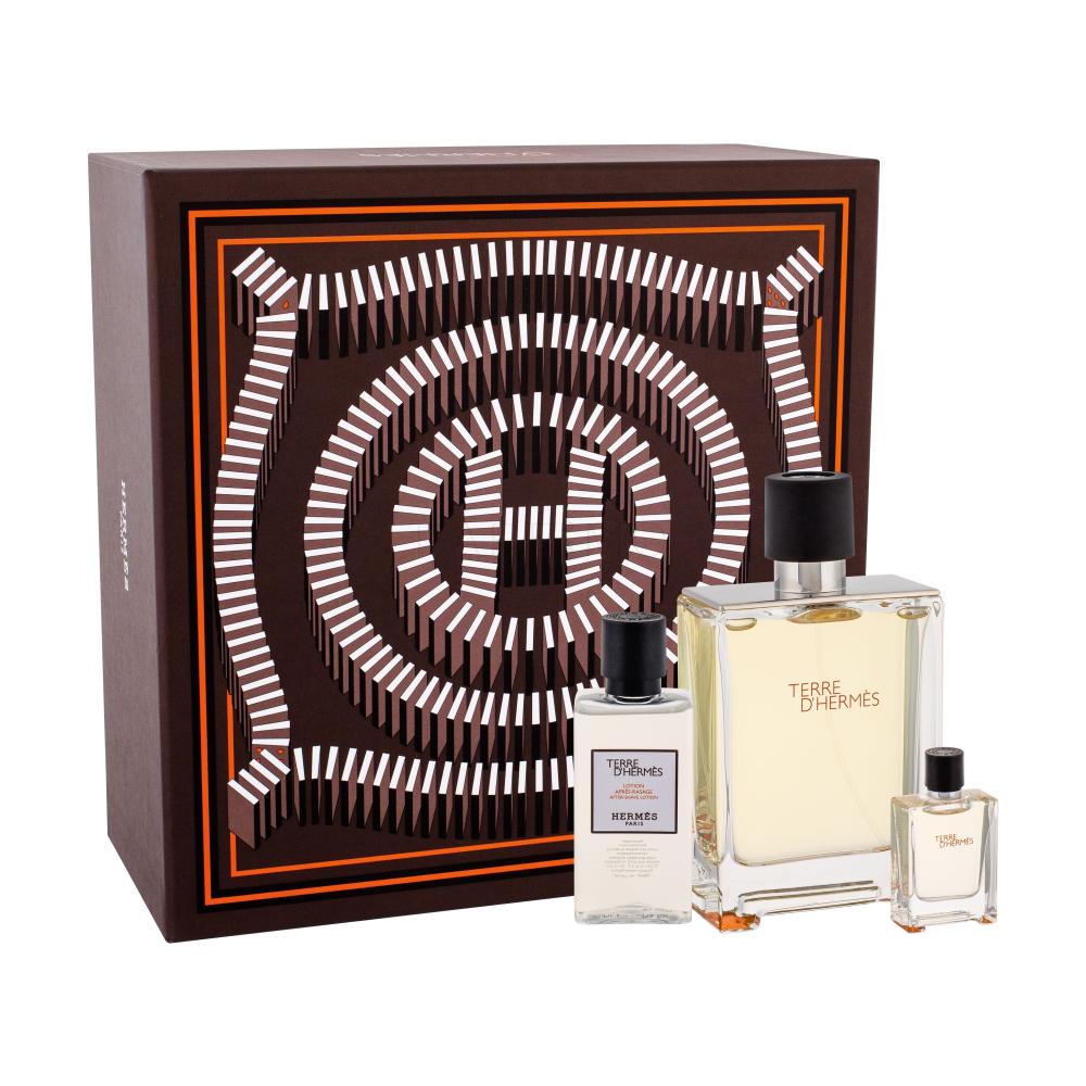 Hermes Terre d´Hermès Darilni set toaletna voda 100 ml + toaletna voda 5 ml + vodica po britju 40 ml
