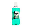 Ustna vodica Zidac Laboratories Absolute Ice Freshmint Mouthwash 500 ml