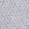 Senčilo za oči Artdeco Eyeshadow Pearl 0,8 g 06 Pearly Light Silver Grey