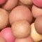 Puder v prahu Guerlain Météorites Light-Revealing Pearls of Powder 25 g 04 Amber/Ambre