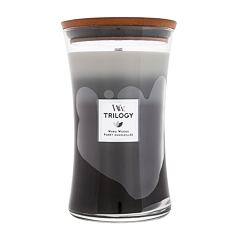 Dišeča svečka WoodWick Trilogy Warm Woods 275 g