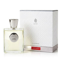 Parfumska voda Giardino Benessere Mister Colonia 100 ml