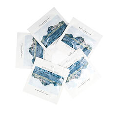 Maska za obraz Dr. Althea Marine Anti-Blemish Mask 60 kos