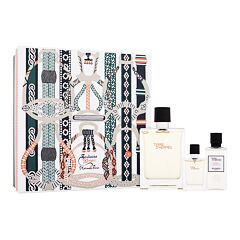 Toaletna voda Hermes Terre d´Hermès 100 ml Seti