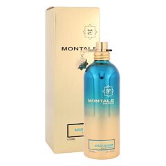 Parfumska voda Montale Aoud Lagoon 100 ml